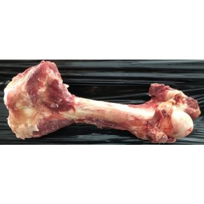 Naturfoder Kmpe kdfyldte okseben ca. 35 cm 