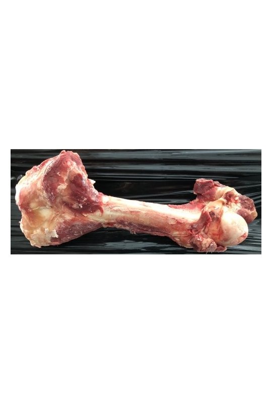 Naturfoder Kmpe kdfyldte okseben ca. 35 cm 