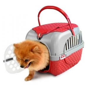 Maxi Tour Transportkasse