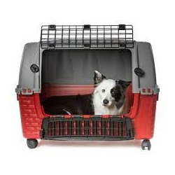 Easy Tour Transportkasse