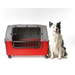 Easy Tour Transportkasse