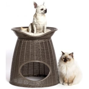 Katteseng - Multifunktion Pasha