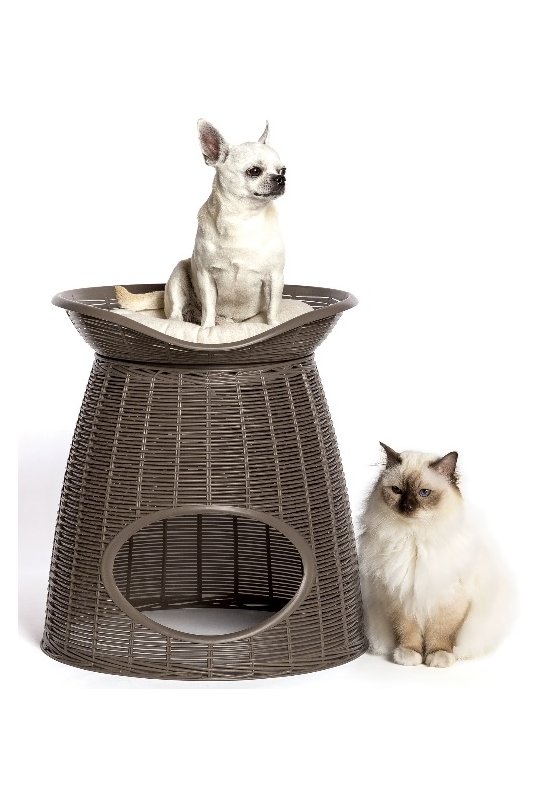 Katteseng - Multifunktion Pasha