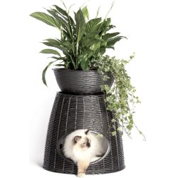 Katteseng - Multifunktion Pasha