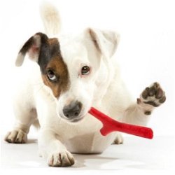 Tutto mio flydende legepind Mini/Baby 2 stk.