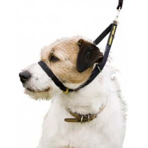 Canny Collar - Antitrk sele