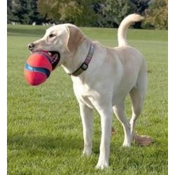 Chuckit Fumble Fetch S