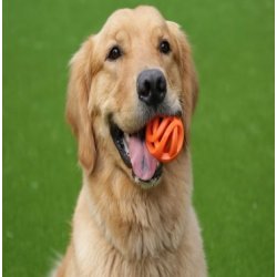 Chuckit Air Fetch Bold