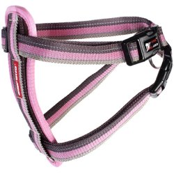 EzyDog Chest Plate Harness candy