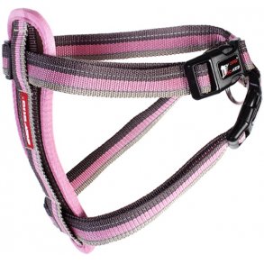 EzyDog Chest Plate Harness candy