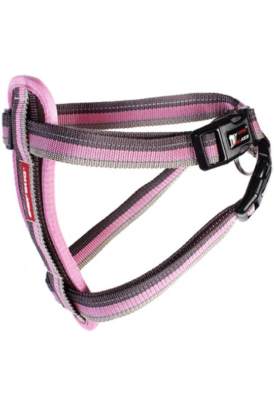 EzyDog Chest Plate Harness candy