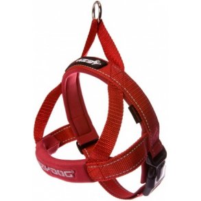 EzyDog Quick Fit Harness rd