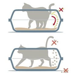 Sonic kattebakke med ekstra hj kant 