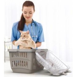 Rocket Transportkasse - 2 Ass. Farver