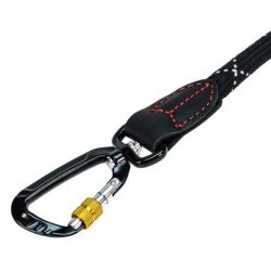 iEnergy Sport Leash