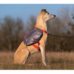 iEnergy 2 i 1 Sele inkl. tasker