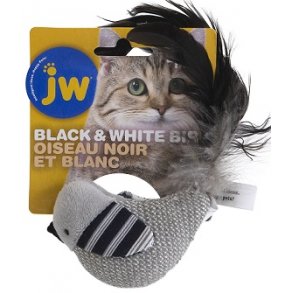 JW Black & White Bird