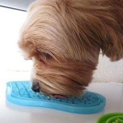 Paw Slowfeeder/Lick Mat