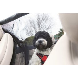 Kong bagsde barriere