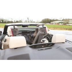 Kong bagsde barriere