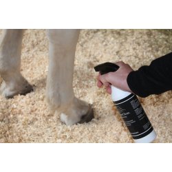 HypoClean Rens &amp; Pleje 