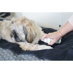 Petdes Rens &amp; Hudpleje