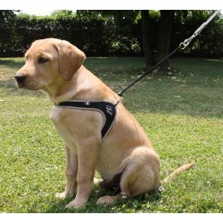 Pratiko Lace Brystsele, Rd M/Refleks