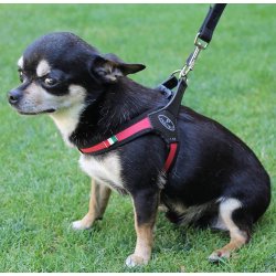 Pratiko Clip On Back Sele, Neon Grn