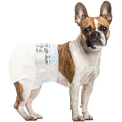 Simple Solution Engangsble