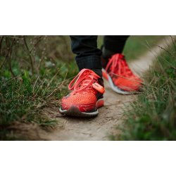 Tickless Baby - Beige