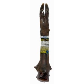 Whesco Stor hjorteben ca. 30-40 cm - Indpakket