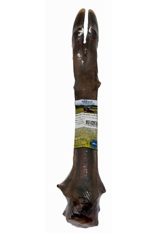 Whesco Stor hjorteben ca. 30-40 cm - Indpakket