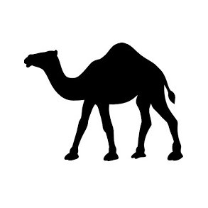 Kamel