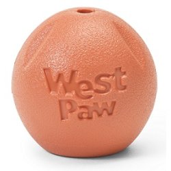 West Paw Rando Small