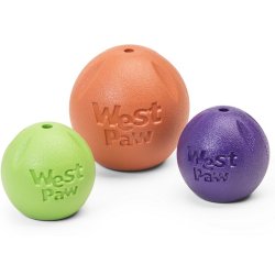 West Paw Rando Small