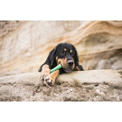 West Paw Drifty Large