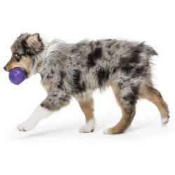 West Paw Rando Large