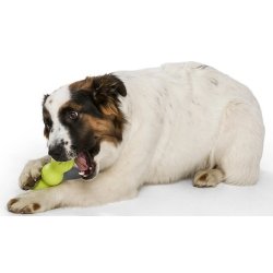 West Paw Rumpus Medium