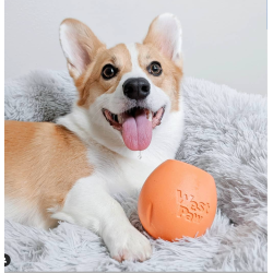 West Paw Rumbl Large Puzzle