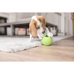 West Paw Rumbl Large Puzzle