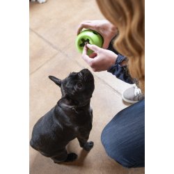 West Paw Rumbl Large Puzzle