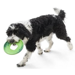 West Paw Sailz frisbee Large