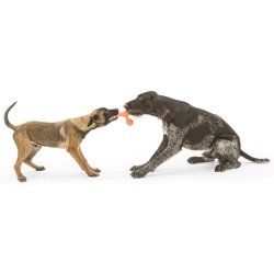 West Paw Skamp Large