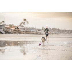 West Paw Snorkl Large