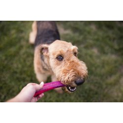 West Paw Drifty Large