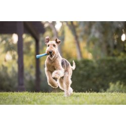 West Paw Drifty Large