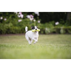 West Paw Hurley Small