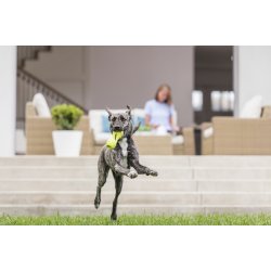 West Paw Qwizl Large