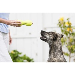 West Paw Qwizl Large