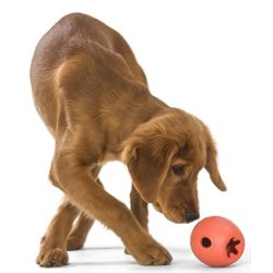 West Paw Rumbl Large Puzzle